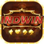 Indwin app